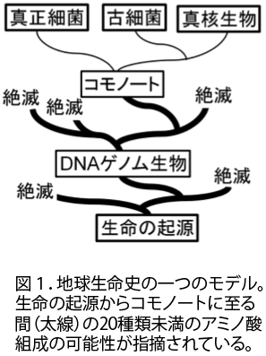 tAkanuma