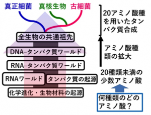 1_H29年度A06班ホームページ用画像-2_赤沼先生